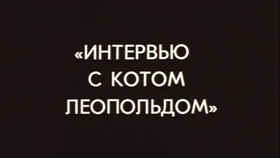 Приключения кота Леопольда смотреть онлайн все серии и сезоны бесплатно в  хорошем качестве. RUTUBE картинки