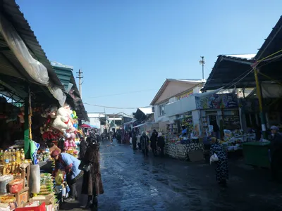 Тюльпаны - От Красной горки до Кекенхофа - Info Shymkent картинки