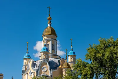 Бассейн - Аквапарк Нептун Петропавловск - развлечения и отдых с детьми в  Петропавловске (в петропавловском аквапарке Нептун) картинки