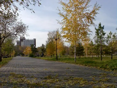 Фото Central Park - Autumn в городе Кокшетау картинки