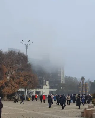 Девочка, выпавшая из окна детсада в Талдыкоргане, находится в коме картинки