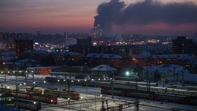 В Новосибирске объяснили отмену опроса на новогодний талисман - РИА  Новости, 07.02.2022 картинки