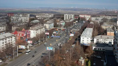 В Уфе поймали волка, бегавшего на детской площадке - РИА Новости, 19.10.2021 картинки