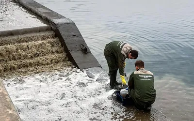 Волгоград — последние новости сегодня на РБК.Ру картинки