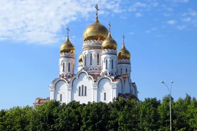 ОЭЗ ППТ \"Тольятти\" / Маркетинг территории / Структура администрации /  Власть / Администрация городского округа Тольятти картинки