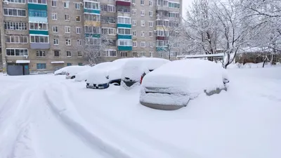 Набережная Хабаровска расцвела под лучами весеннего солнца (ФОТО) — Новости  Хабаровска картинки