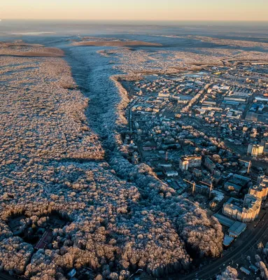 ЛЕСА ГОРОДА СТАВРОПОЛЯ И ЕГО ОКРЕСТНОСТЕЙ - Ставрополь - прогулки картинки