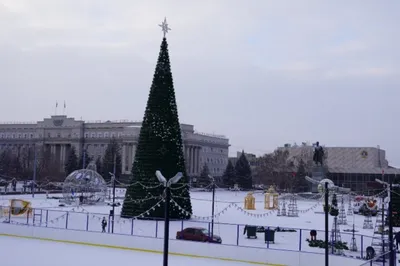 23 декабря в Оренбурге откроется главная городская елка | Полезное | ДОСУГ  | АиФ Оренбург картинки