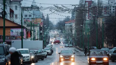 Липецкие кинологи помогут в охране общественного порядка в городе - РИА  Новости, 02.12.2022 картинки