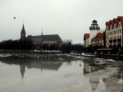 В Калининград на майские праздники (от 3 до 4 дней + авиа или ж/д) - Туры в  Калининград из Москвы от туроператора картинки