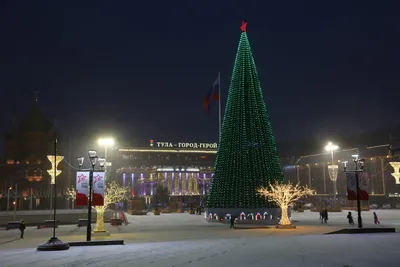 Когда в Туле начнут разбирать елку на площади Ленина - Новости Тулы и  области - 1tulatv картинки