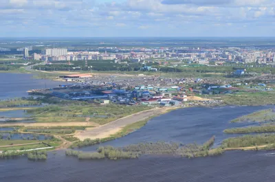 File:Сургут, Заячий остров. - panoramio.jpg - Wikimedia Commons картинки