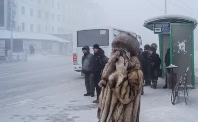 В Якутск прибыли новые маршрутные автобусы | Окружная администрация города  Якутска картинки