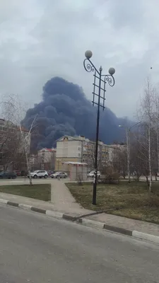 В Белгороде появились открытки с призывом вернуть регион в Харьковскую  область - 24 Канал картинки