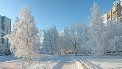 Зимний Нижневартовск - фото и картинки: 68 штук картинки