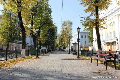 Проспект Мира в Костроме | Путешествия по городам России и зарубежья картинки