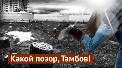 Тамбов: нормальный мальчик сюда не захочет - YouTube картинки