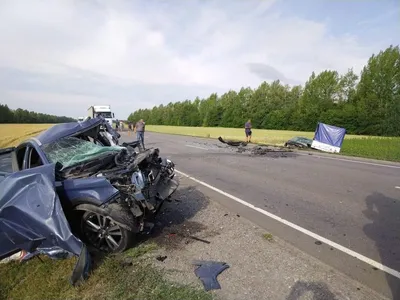 В ДТП на трассе \"Тамбов-Воронеж\" погибла женщина и пострадали пять человек,  в том числе две маленькие девочки - ПроТамбов картинки