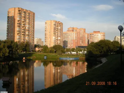 Фото пруд в Химках в городе Химки картинки