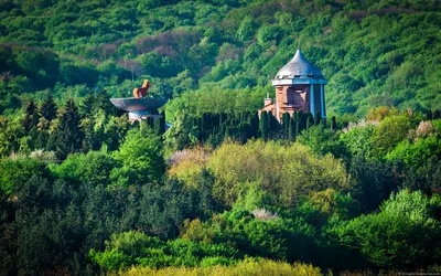 Кавказский Узел | Мини-Арбат в Нальчике (фото) картинки