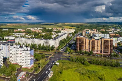 Нижнекамск | В Нижнекамске закупили деревьев и кустарников на 12 млн рублей  - БезФормата картинки