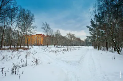 Купить 1-комнатную квартиру в ЖК Королёв в Самаре от застройщика,  официальный сайт жилого комплекса Королёв, цены на квартиры, планировки.  Найдено 14 объявлений. картинки