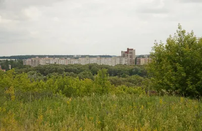 Храм преподобного Сергия Радонежского (Старый Оскол) — Циклопедия картинки