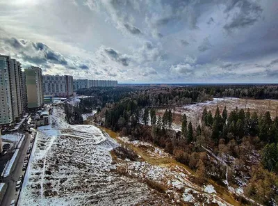 Общественная палата городского округа Красногорск Московской области картинки