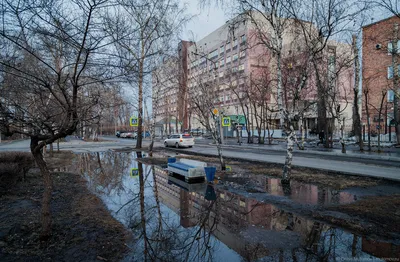 Карта города Абакан, Хакасия. Карта Абакана с улицами масштаба 1см \u003d 240м |  Raster Maps | Карты всего мира в одном месте картинки