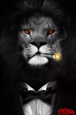 Lion Wallpaper Просмотрите обои Lion с коллекциями Abstract, Angry, Black, Cool, Iphone. https://www.idlewp.com/… в 2022 году | Lion wallpaper, Lion photography, Lion art картинки