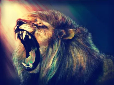 Mac OS X Lion Wallpaper 4K, Лев, Черный фон, Животные, #4027 картинки