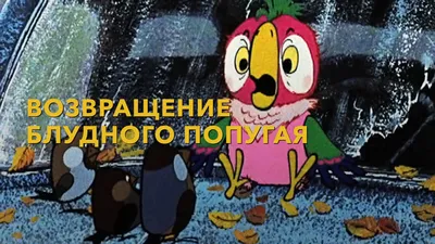 Возвращение блудного попугая. Эпизод 3 | Return of the prodigal parrot.  Episode 3 – Видео Dailymotion картинки