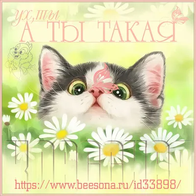 ух,ты...какая классная... ~ Плейкасты ~ Beesona.Ru картинки