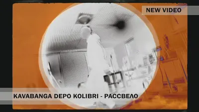 Kavabanga Depo Kolibri - все клипы, смотреть клипы Kavabanga Depo Kolibri  онлайн бесплатно, скачать видеоклипы картинки