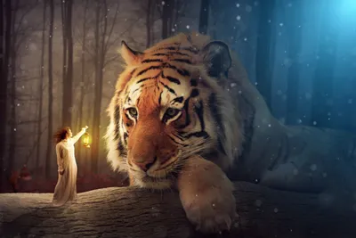 60+ Fantasy Tiger HD обои и Hintergründe картинки