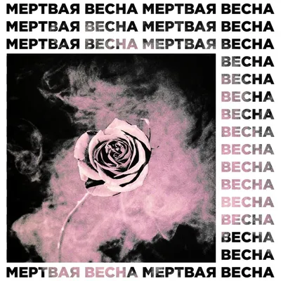 вышел покурить (vyshel pokurit') – мертвая весна (demo) Lyrics | Genius  Lyrics картинки