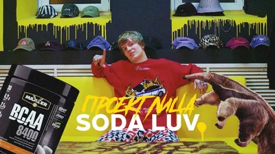 SODA LUV ПРО РАНЕТОК, ЯНИКСА И МУРАВЬЕДА / ПРОЕКТ ЛИЦА / ОТВЕТЫ НА ВОПРОСЫ  - YouTube картинки