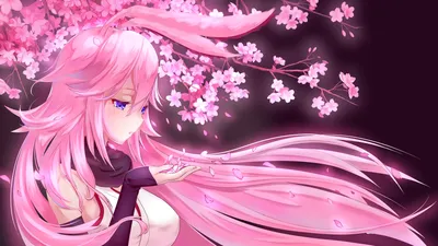 Мастерская Steam::Honkai Impact 3rd Wallpapers картинки