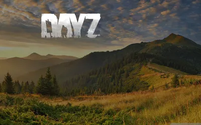 DayZ обои, DayZ, автономные, видеоигры HD обои | Обои Блики картинки