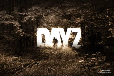 DayZ Computer Icons Game Desktop, портал, игра, компьютерные обои, видеоигра png | PNGWing картинки