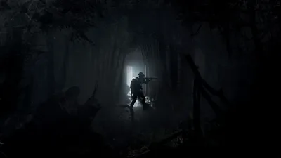 Hunt: Showdown - Загрузить комплект фаната охоты картинки