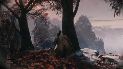 Руководство для начинающих по Sekiro: Shadows Die Twice картинки