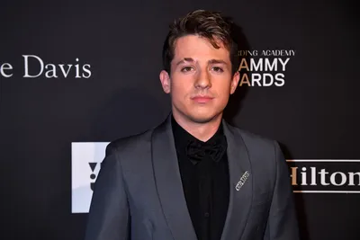 Скачать обои 4k, Charlie Puth, гранж арт, американский певец, коричневые абстрактные лучи, музыкальные звезды, Charles Otto Puth Jr, American Celebrity, fan art, Charlie Puth 4K для монитора с разрешением 3840x2400. Высокое качество картинки