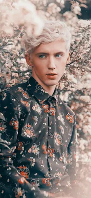 Troye Sivan Cool Wallpapers APK для Android Скачать картинки