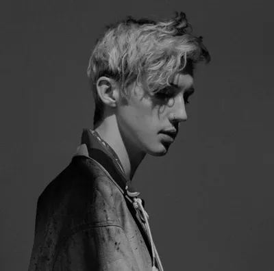 Скачать Troye Sivan Wallpapers APK для Android картинки