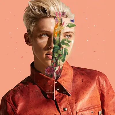 Скачать Troye Sivan Free HD 4K Free To Download Wallpaper - GetWalls.io картинки