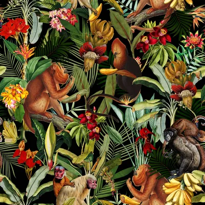 Tropical Monkey Flower Jungle Night - DESIGNER-WALLPAPER.COM - Лента \u0026 Фото Лента от Renommierten Designern. Gestalte deine eigene Fototapete в обычном Tapetenshop. Hochwertige Design-Wallpaper, Trend- und Luxustapeten für Heim \ u0026 Gewerbe. картинки