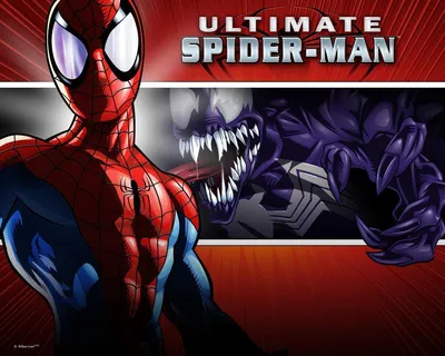 Ultimate Spider-Man Wallpapers - лучшие бесплатные обои Ultimate Spider-Man картинки