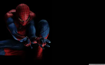 Обои для рабочего стола The Amazing Spider-Man Ultra HD для 4K UHD TV: Широкоэкранный \ u0026 UltraWide Desktop \ u0026 Ноутбук: Планшет: Смартфон картинки