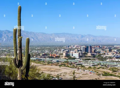 Фотографии и изображения в высоком разрешении Тусон Аризона Сити - Alamy картинки